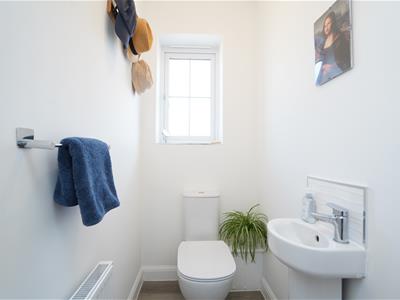 Picture 14
